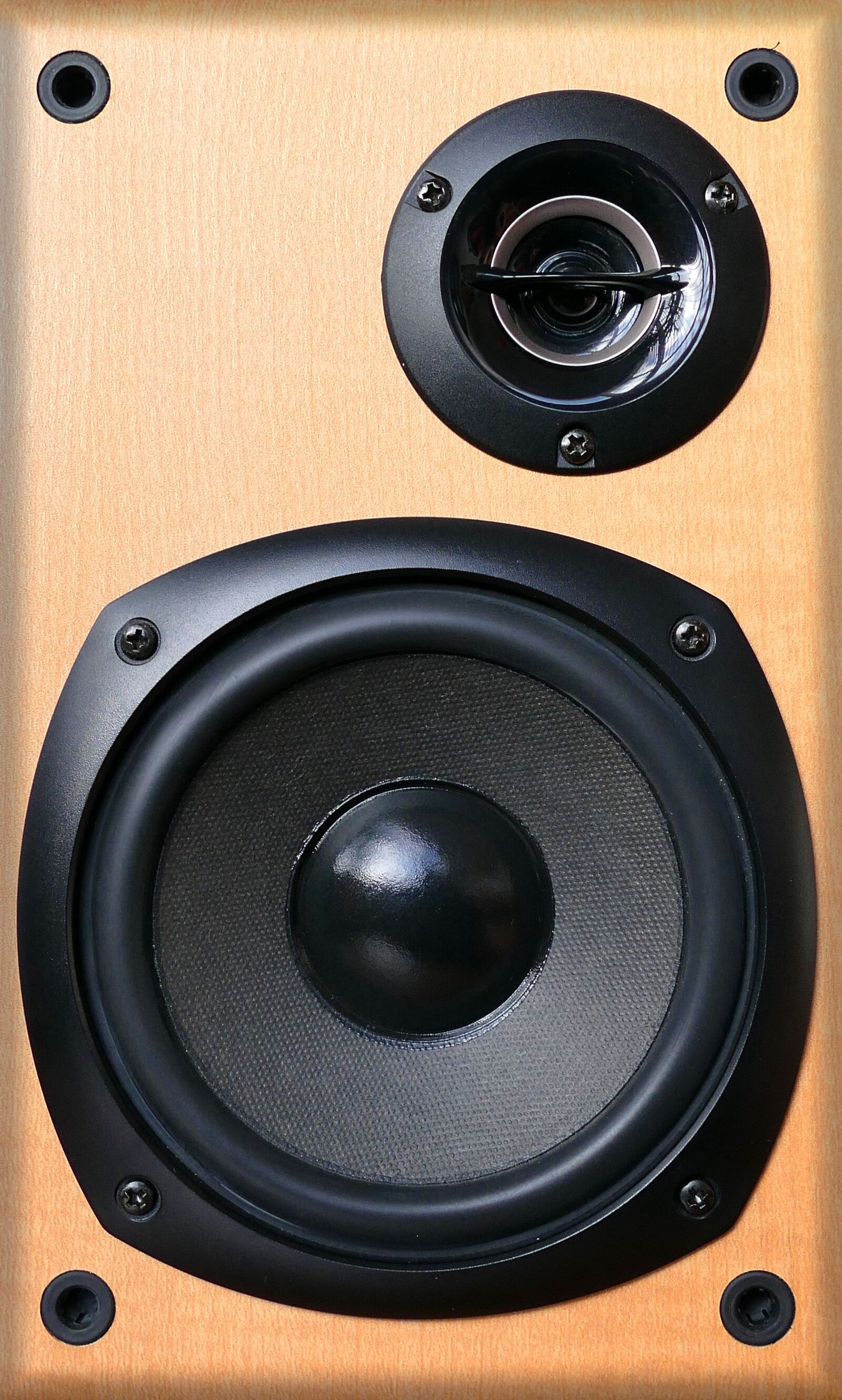 Panasonic Lumix DMC-FZ1000 sample photo. Audio, speaker, music photography
