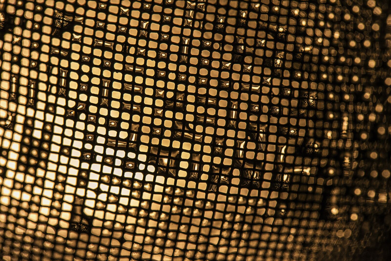 Nikon D3100 sample photo. Strainer, network, yellow photography