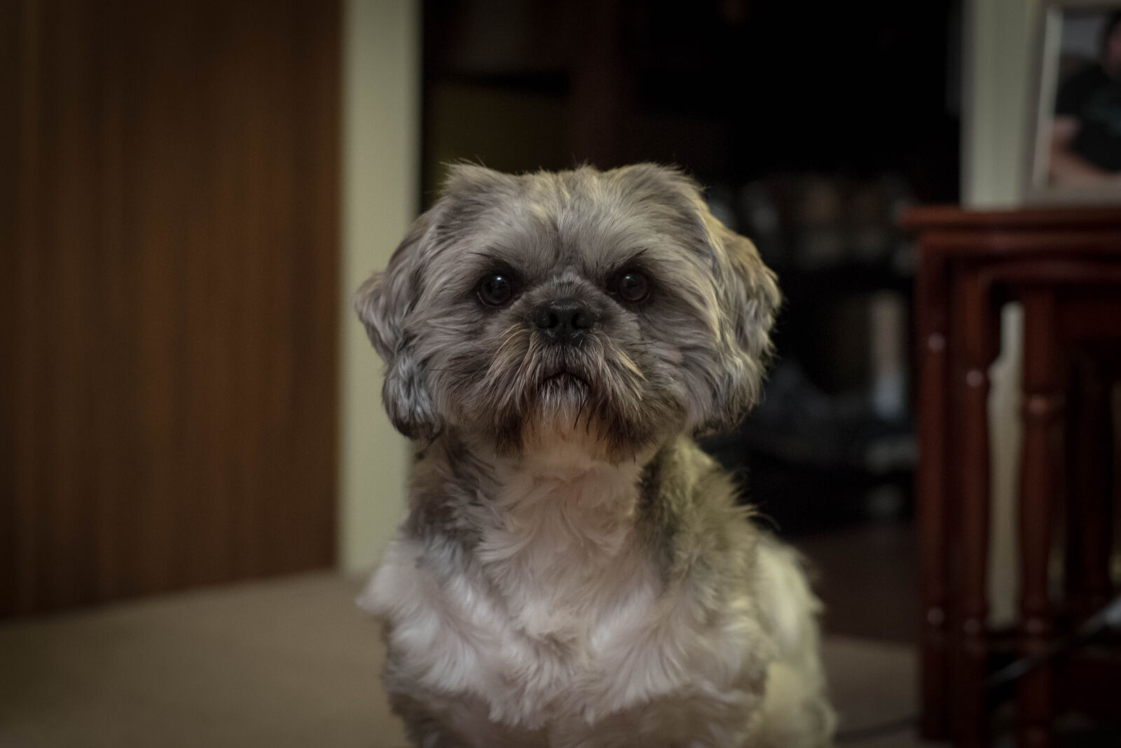 Nikon D750 + Nikon AF-S Nikkor 50mm F1.8G sample photo. Night photography