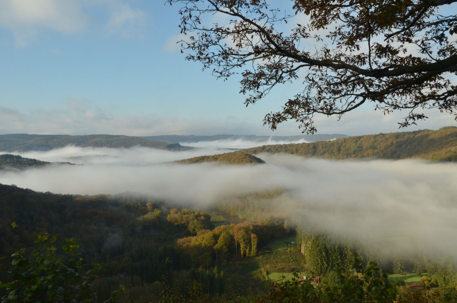 Nikon D7000 sample photo. Belgium, ardennes, landscape photography