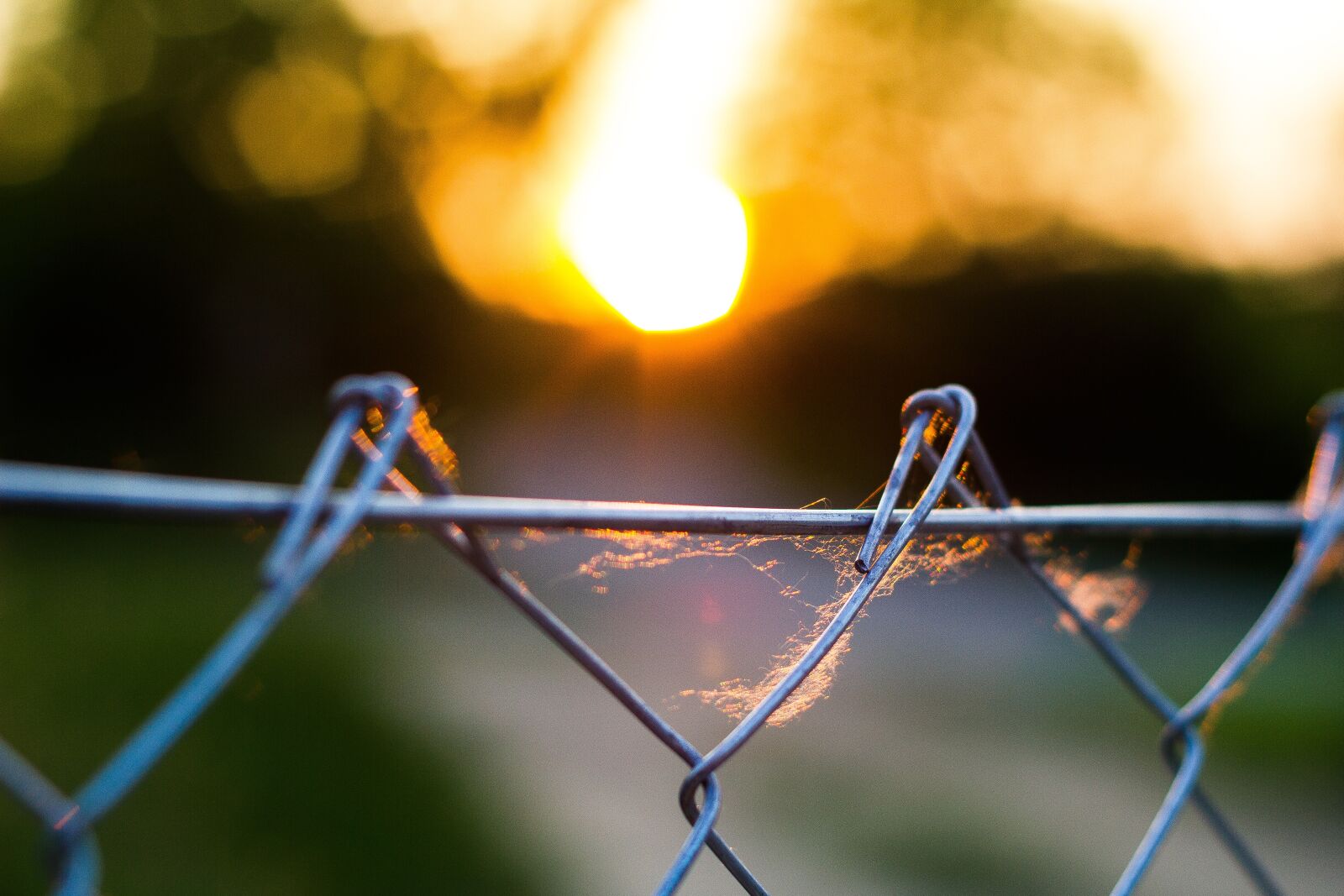 Canon EOS 550D (EOS Rebel T2i / EOS Kiss X4) sample photo. Nature, sunset, fence photography