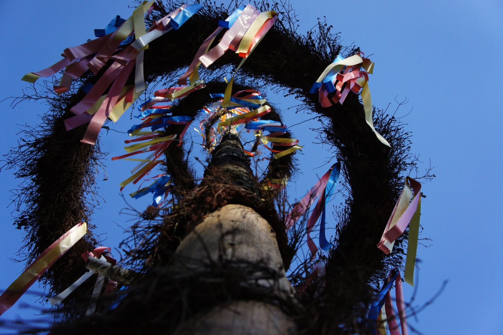 Sony Alpha NEX-5 + Sony E 18-55mm F3.5-5.6 OSS sample photo. Maypole, flags and pennants photography