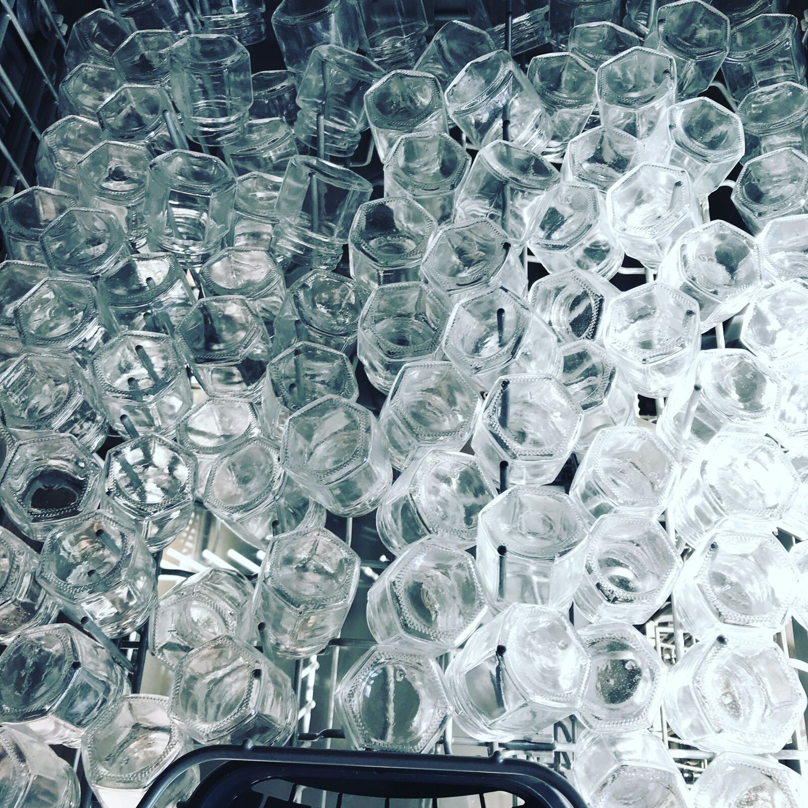 iPhone 7 back camera 3.99mm f/1.8 sample photo. Jar, jars, honey jars photography