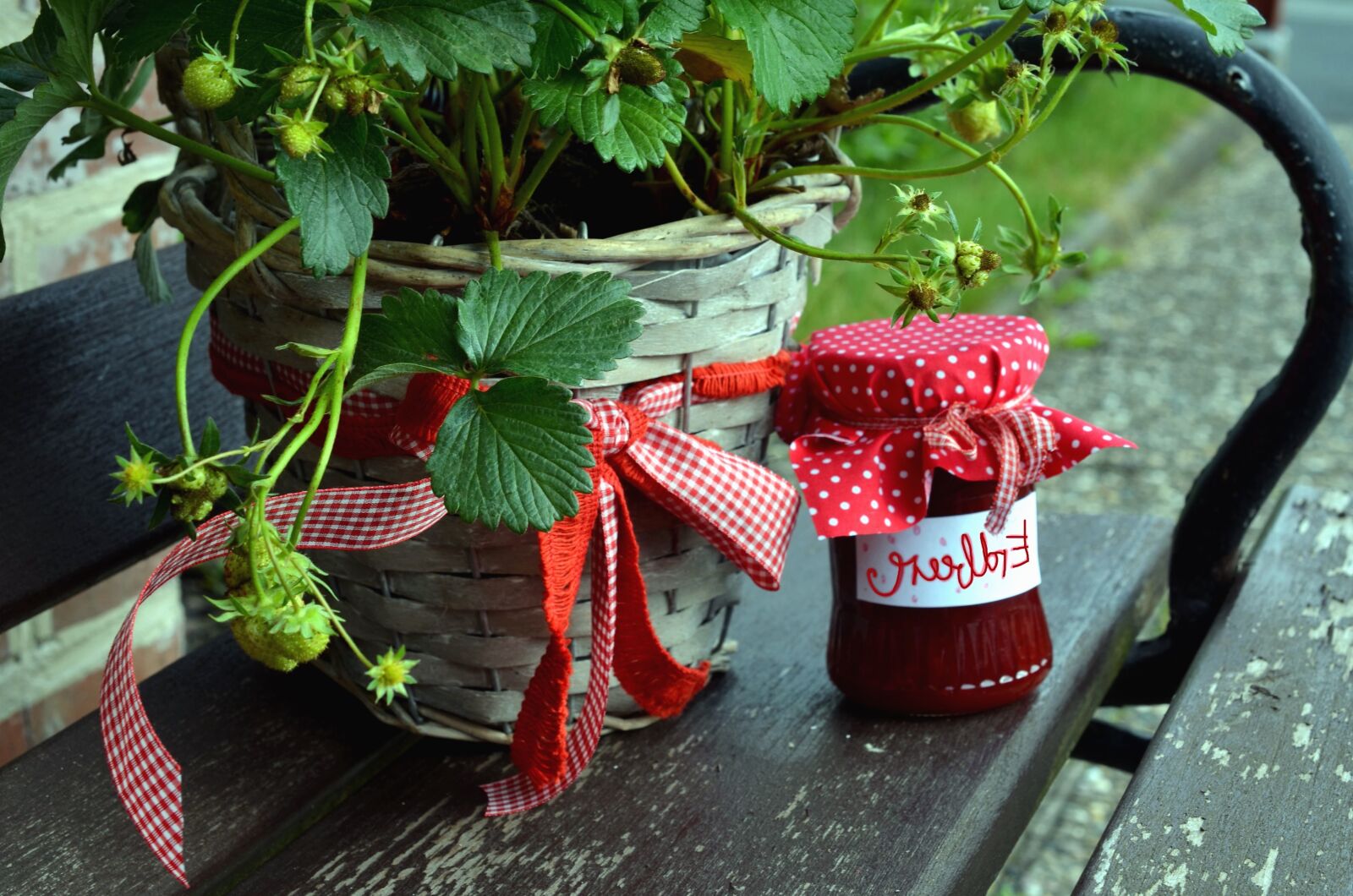 Nikon D5100 sample photo. Jar, benches, pots, flowers photography