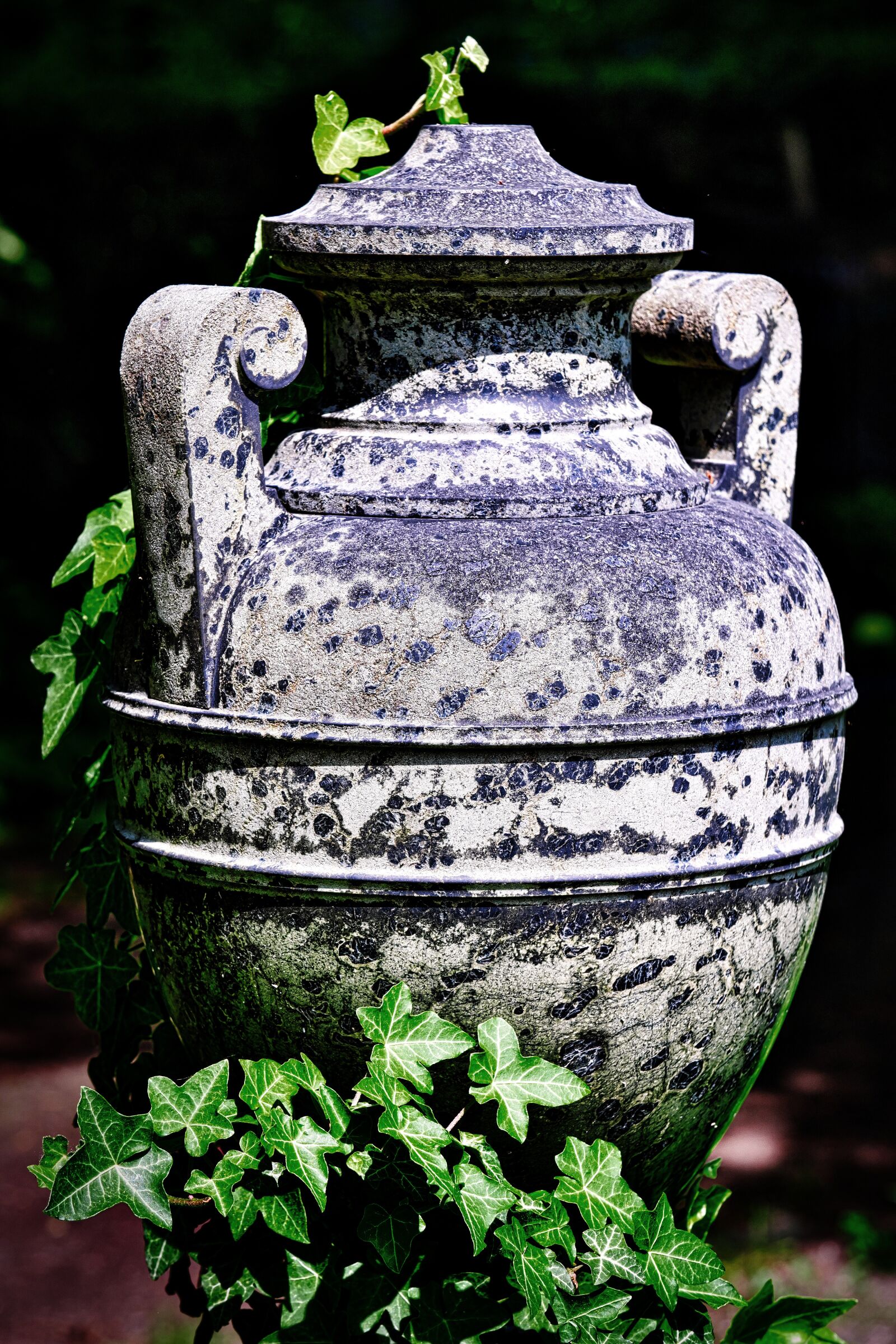 Fujifilm X-T2 + Fujifilm XF 80mm F2.8 R LM OIS WR Macro sample photo. Stone, vascular, henkel photography