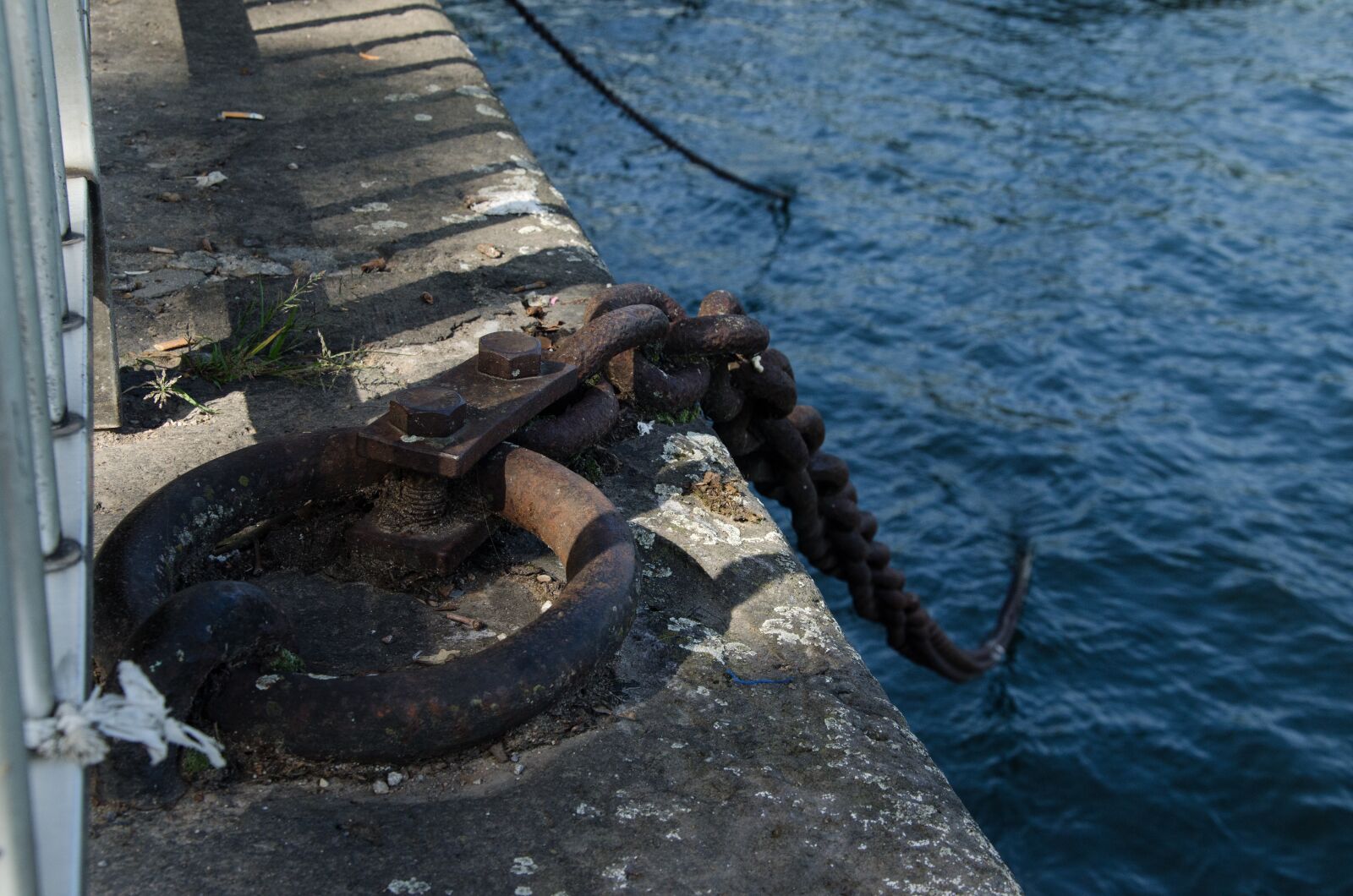 Nikon D5100 sample photo. Chain, rhine, bank photography