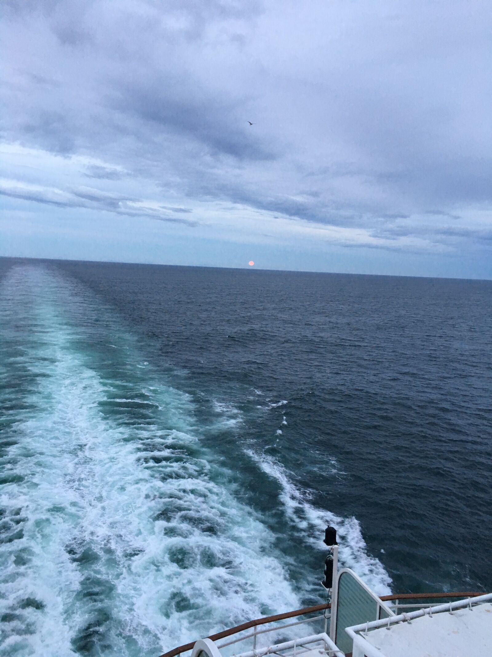 iPhone 6s back camera 4.15mm f/2.2 sample photo. Cruise, wake, voyage photography
