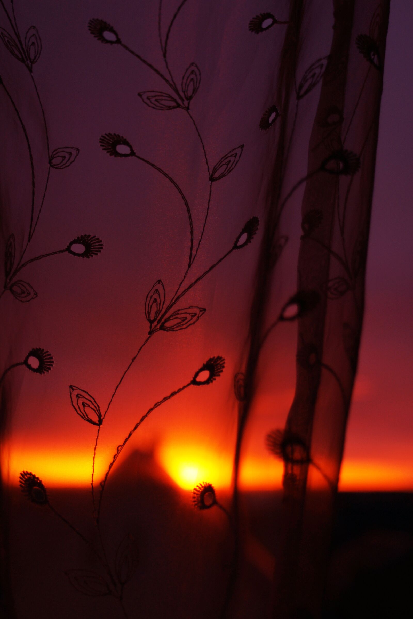 Sony Alpha DSLR-A700 sample photo. Sunset, sky, nature photography