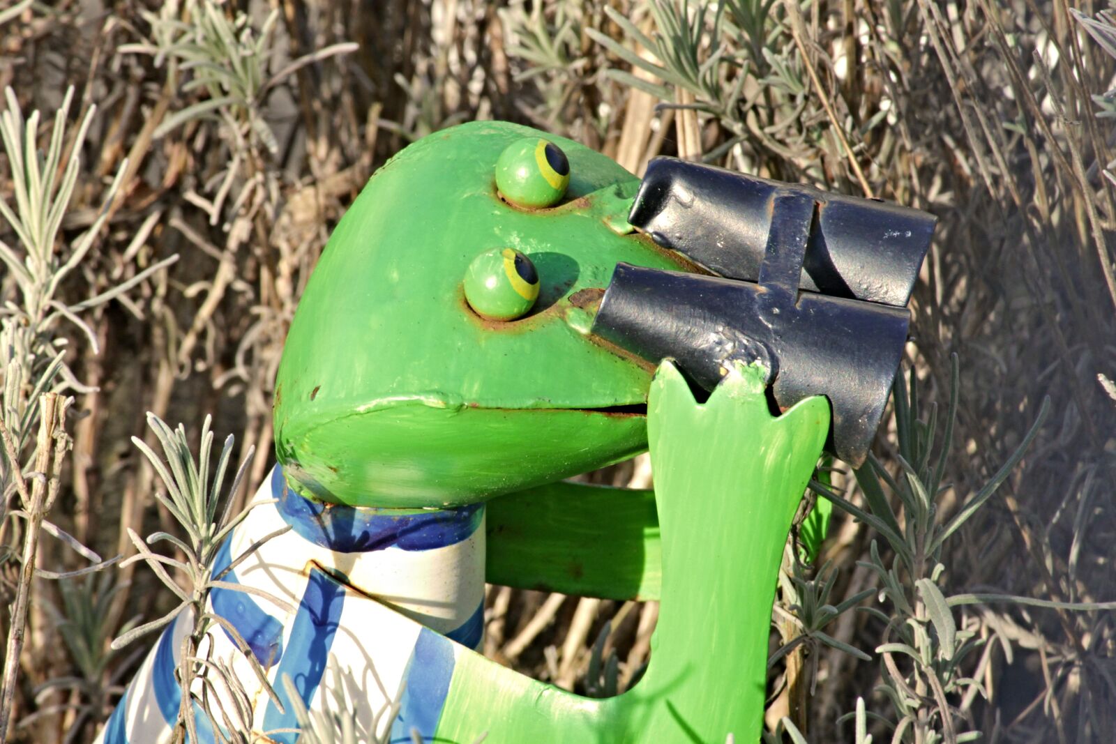 Canon EOS 1100D (EOS Rebel T3 / EOS Kiss X50) sample photo. Frog, binoculars, tensioner photography