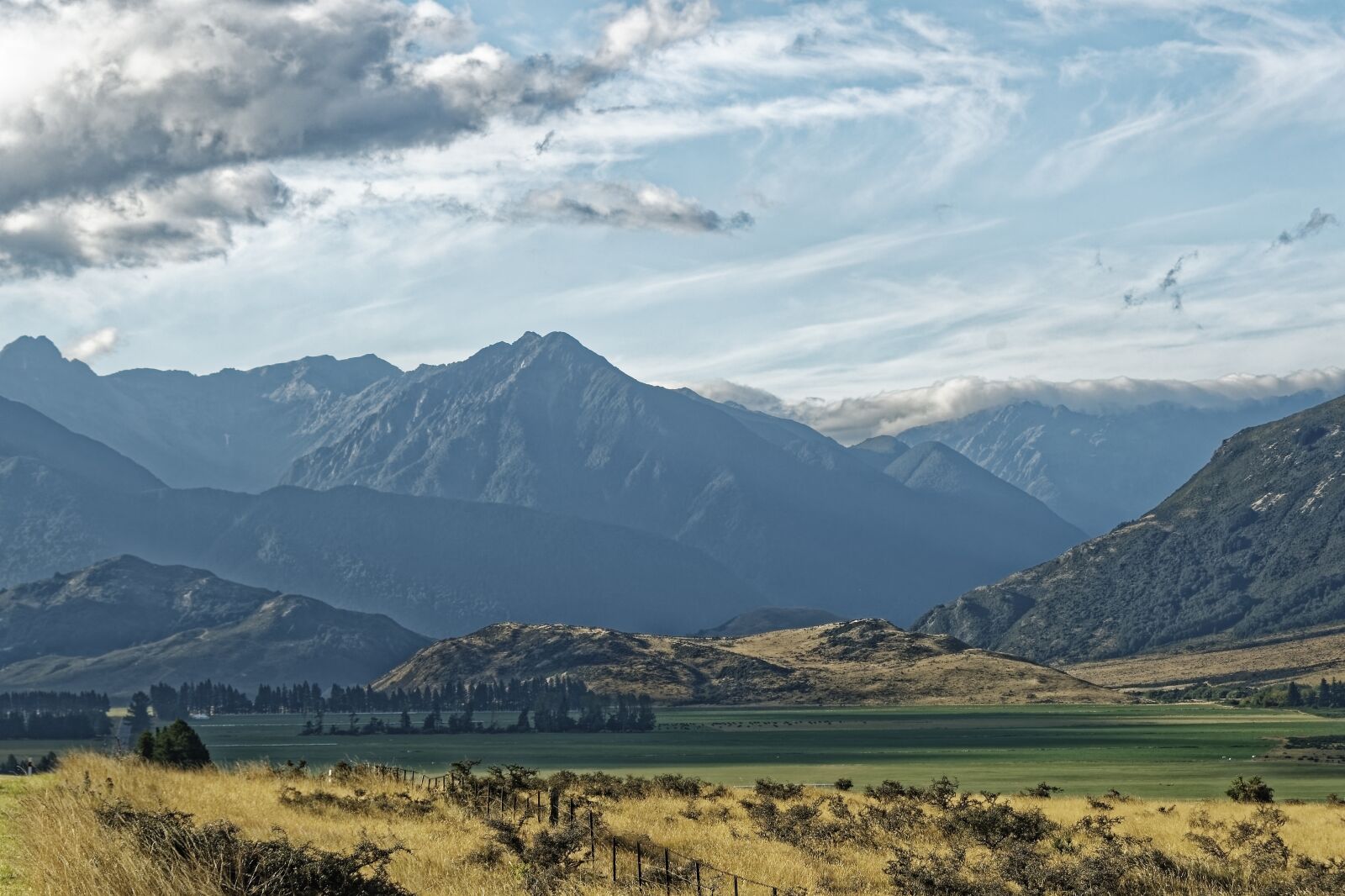 Nikon D500 sample photo. New zealand, craigieburn forest photography