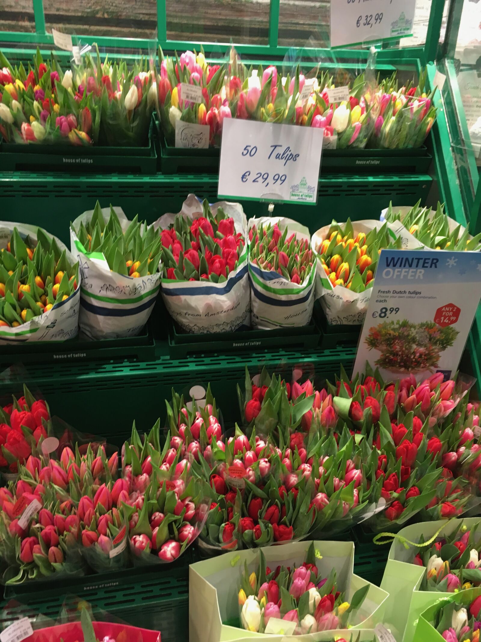 Apple iPhone SE sample photo. Tulips, for sale, amsterdam photography