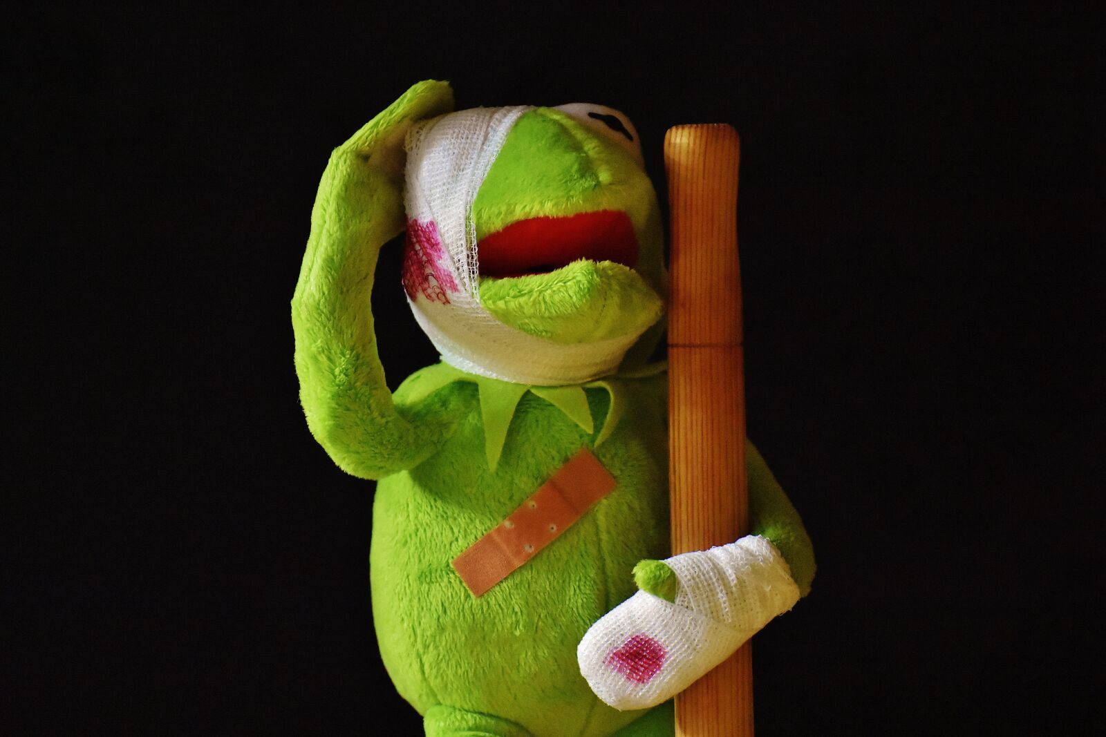 Nikon D7200 sample photo. Kermit, injured, patch photography