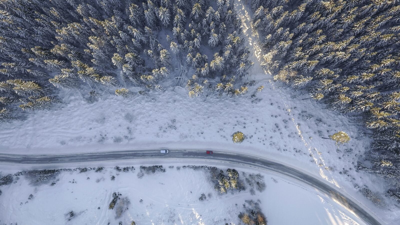 DJI FC330 sample photo. Tree, weather, winter, snow photography
