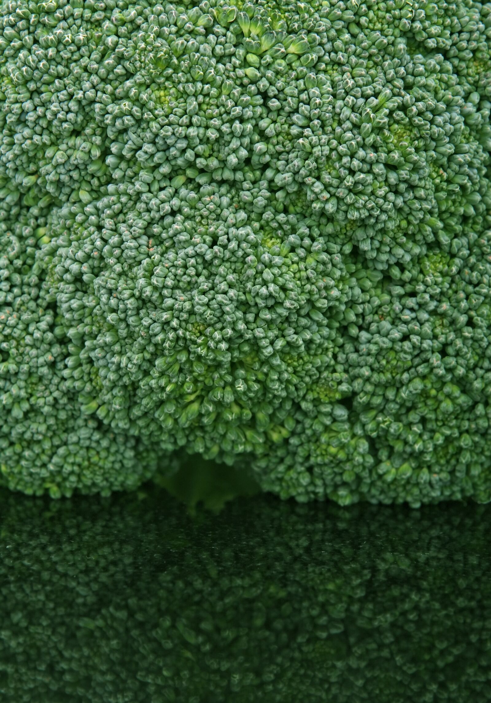 Canon EOS 30D sample photo. Appetite, broccoli, brocoli broccolli photography
