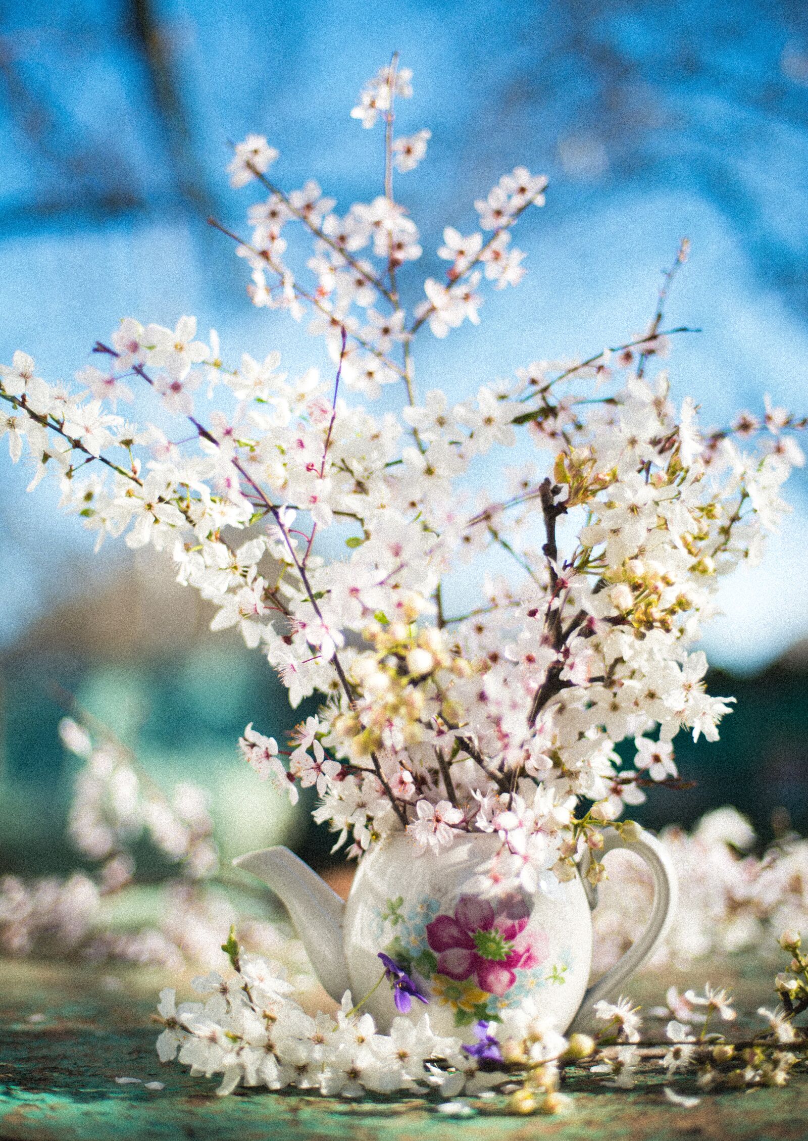 Nikon D800 sample photo. Still life, the flowers photography
