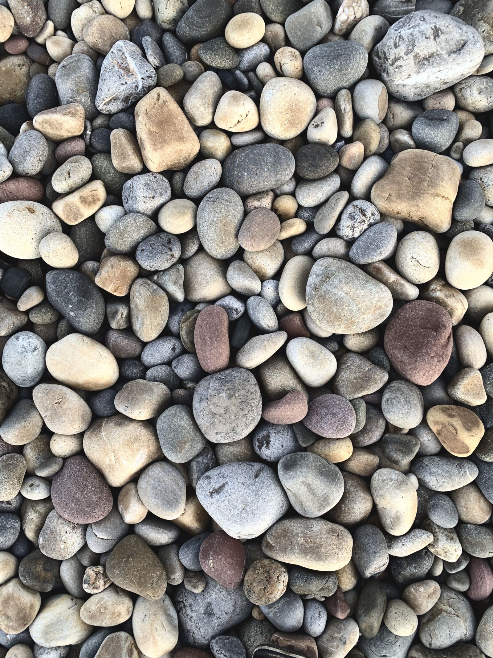 iPhone XS back dual camera 4.25mm f/1.8 sample photo. Pebbles, rocks, stones photography