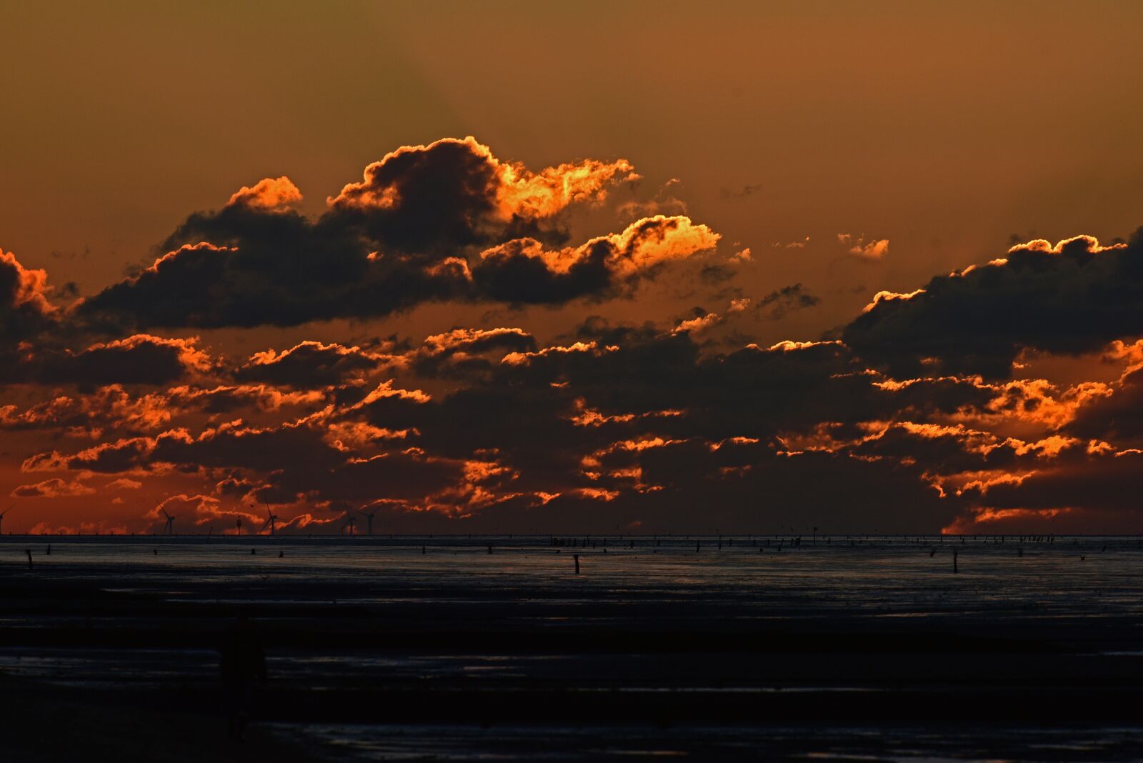 Nikon D750 sample photo. Sunset, wadden sea, watts photography