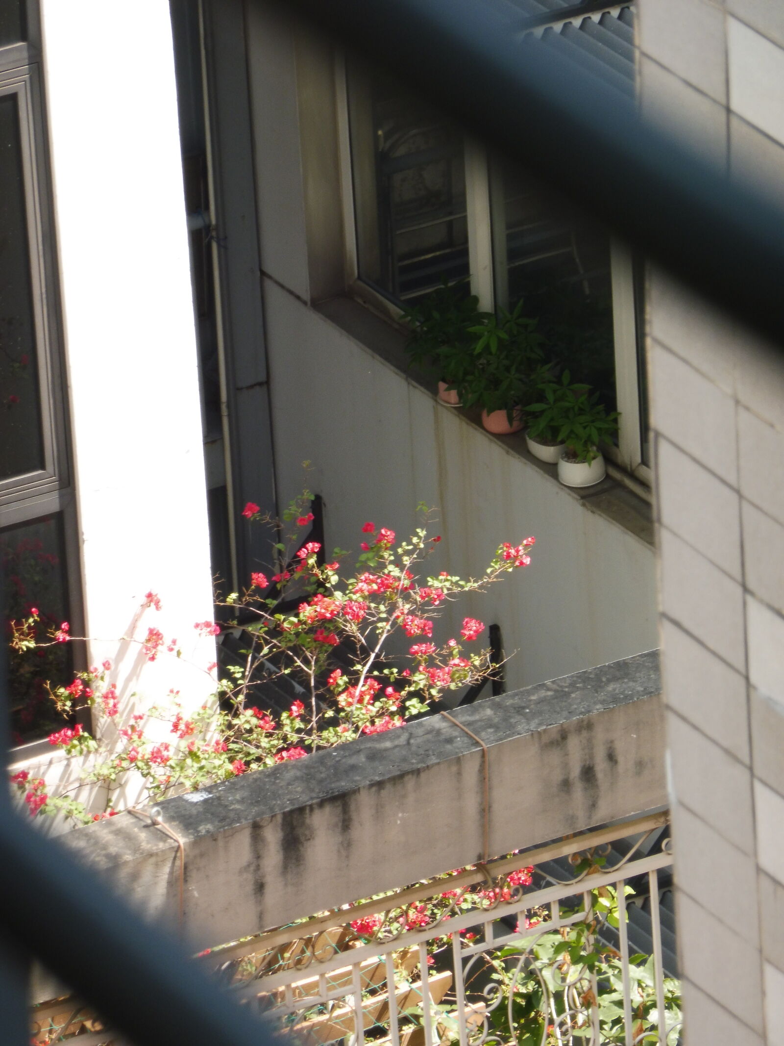 Panasonic Lumix DMC-ZS45 (Lumix DMC-TZ57) sample photo