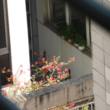 Panasonic Lumix DMC-ZS45 (Lumix DMC-TZ57) sample photos - ExploreCams
