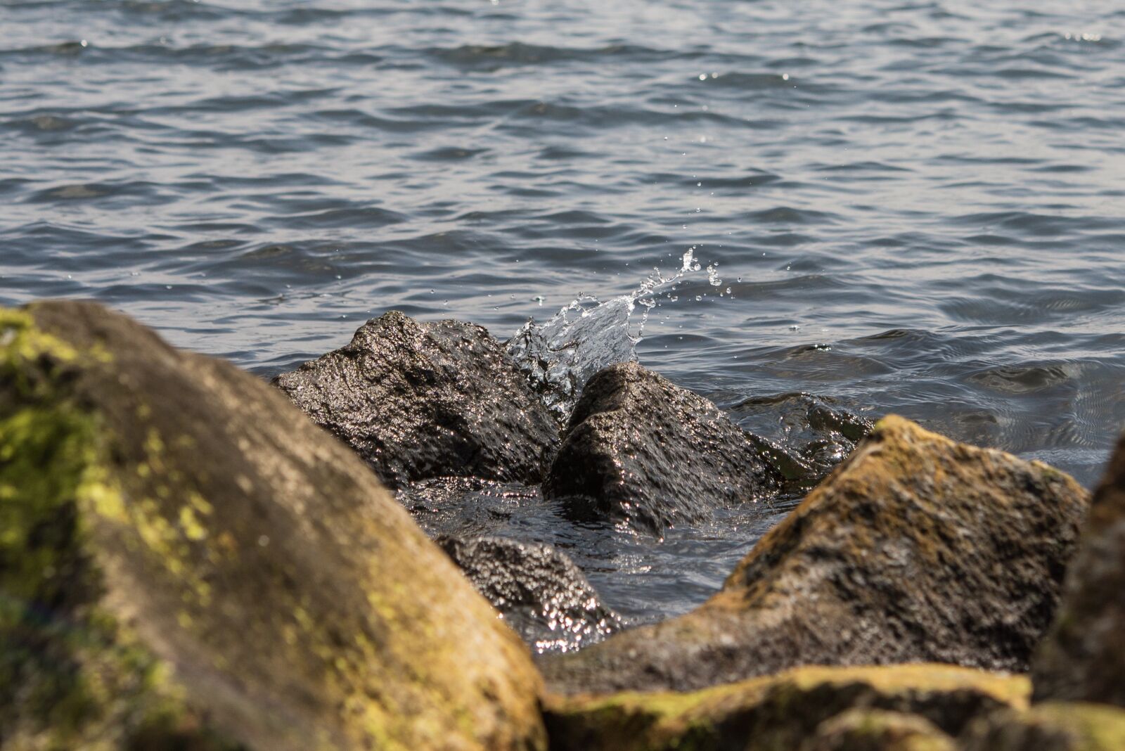 Nikon D600 sample photo. Shore, water, rock photography