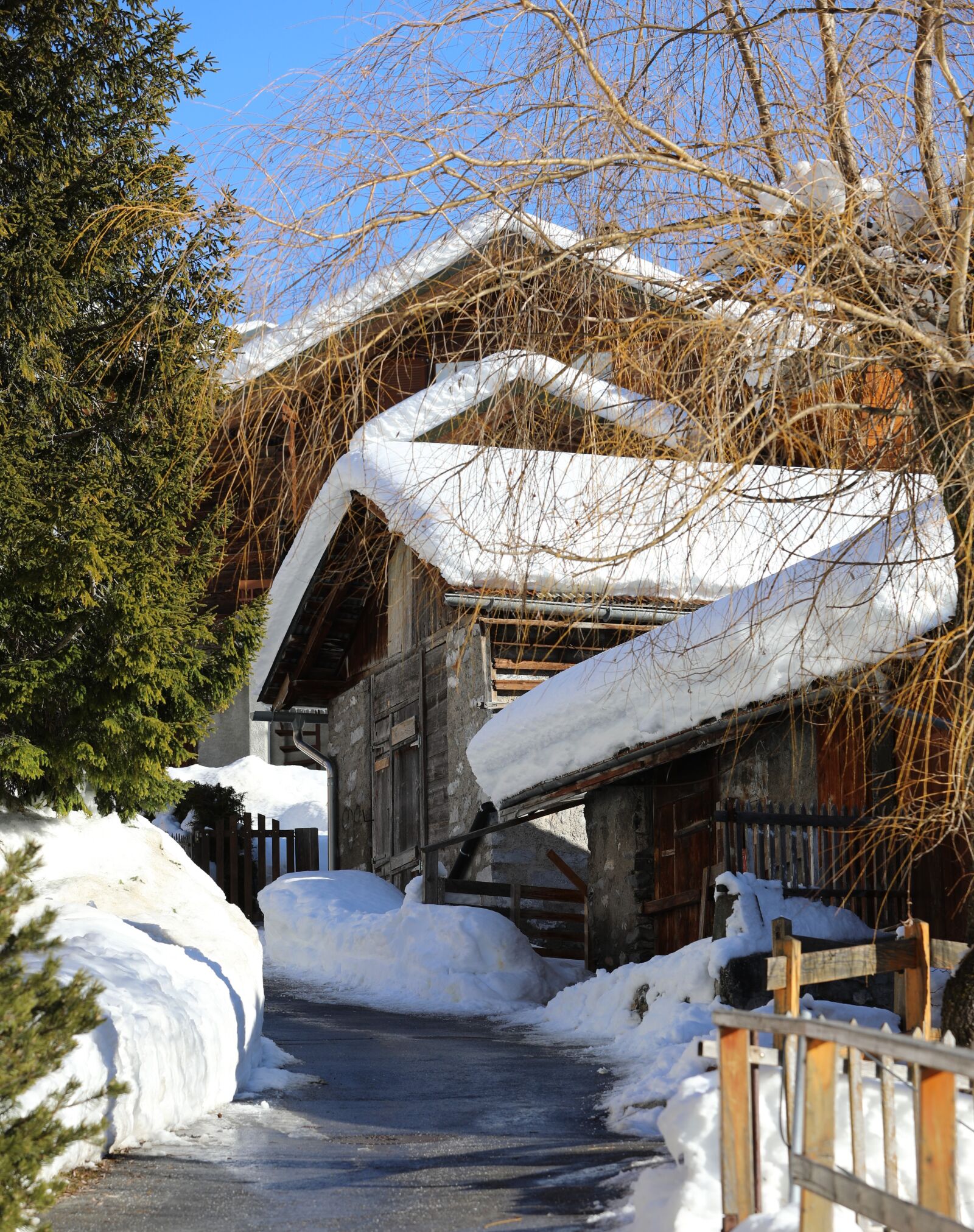 Canon EOS 5D Mark IV sample photo. Wood, snow, winter photography