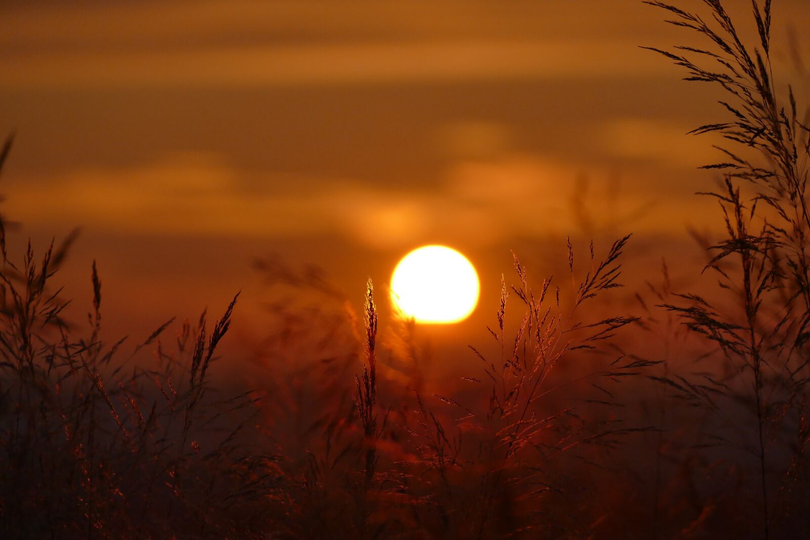 Panasonic Lumix DMC-FZ1000 sample photo. Sunset, romantic, dusk photography