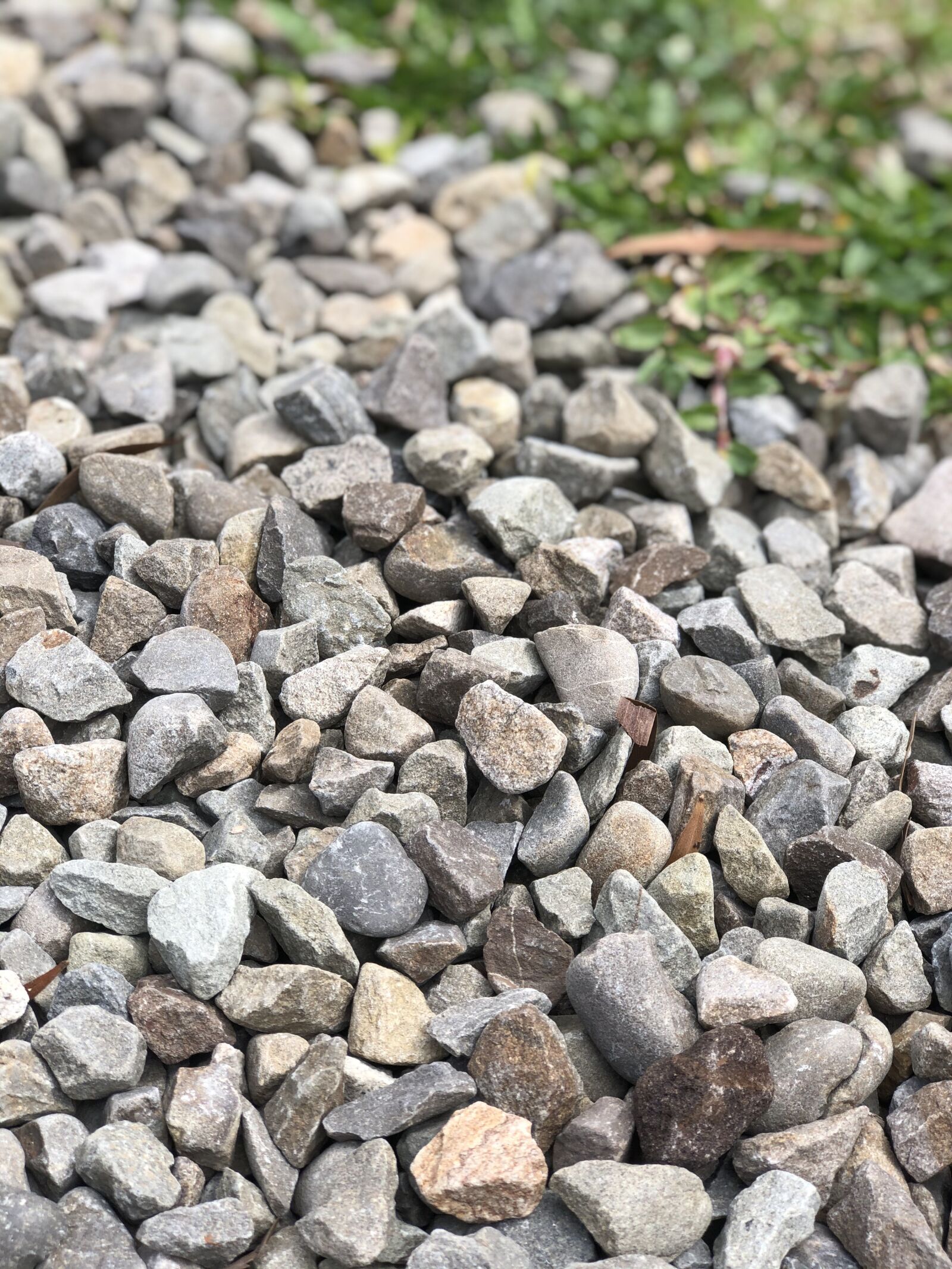 iPhone 8 Plus back dual camera 6.6mm f/2.8 sample photo. Pebbles, grass, nature photography