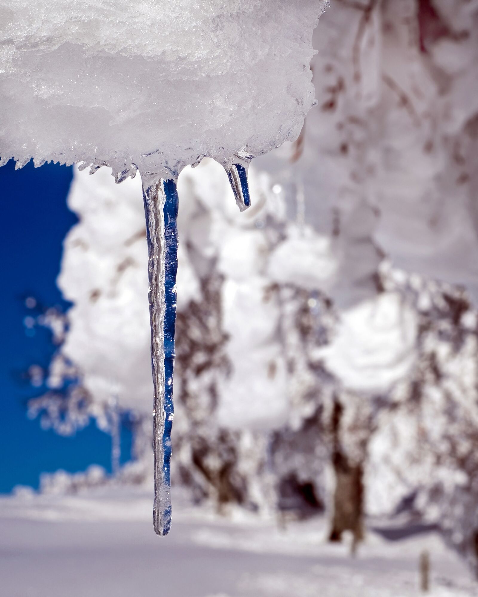 Fujifilm X-T10 + Fujifilm XF 35mm F1.4 R sample photo. Icicle, ice, drip photography
