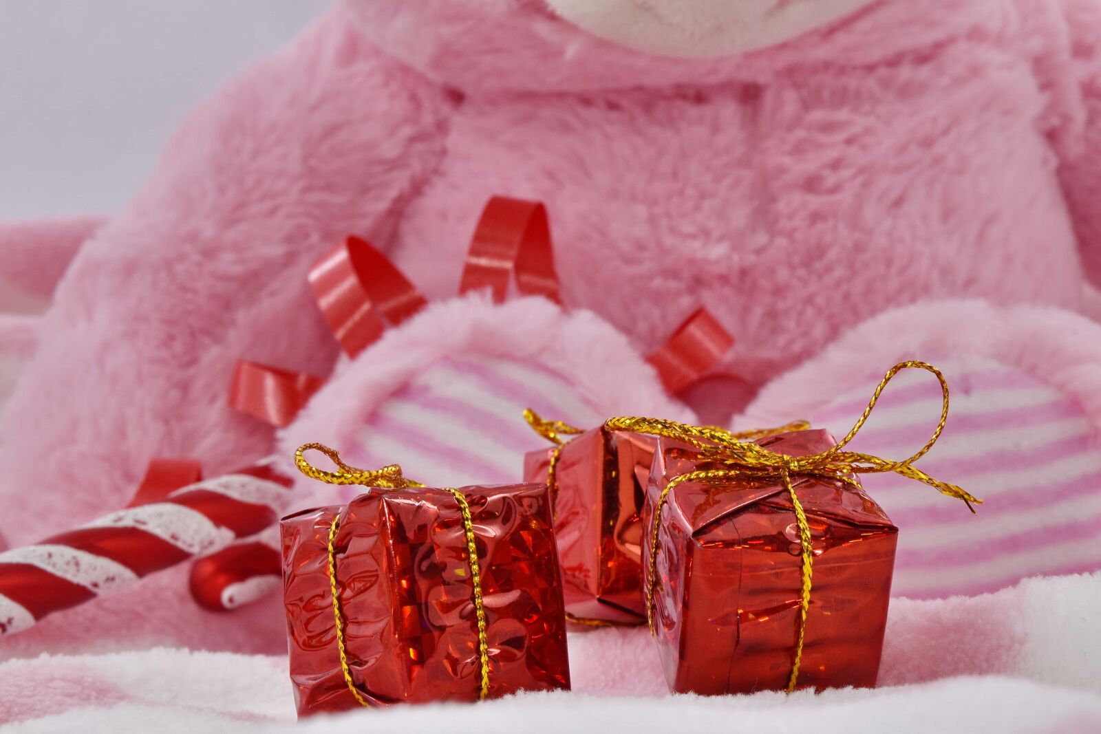 Nikon D5500 sample photo. Birthday, gifts, pink, romance photography
