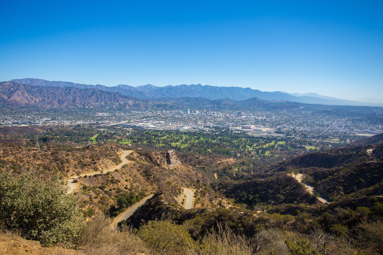 Canon EF 17-40mm F4L USM sample photo. Griffith park, mountain, holly photography