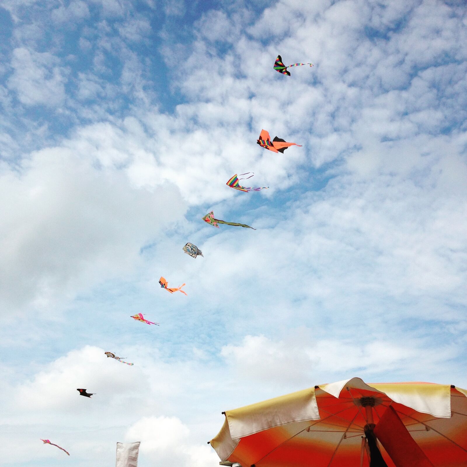iPhone 5c back camera 4.12mm f/2.4 sample photo. Sky, dragons, dragon rising photography