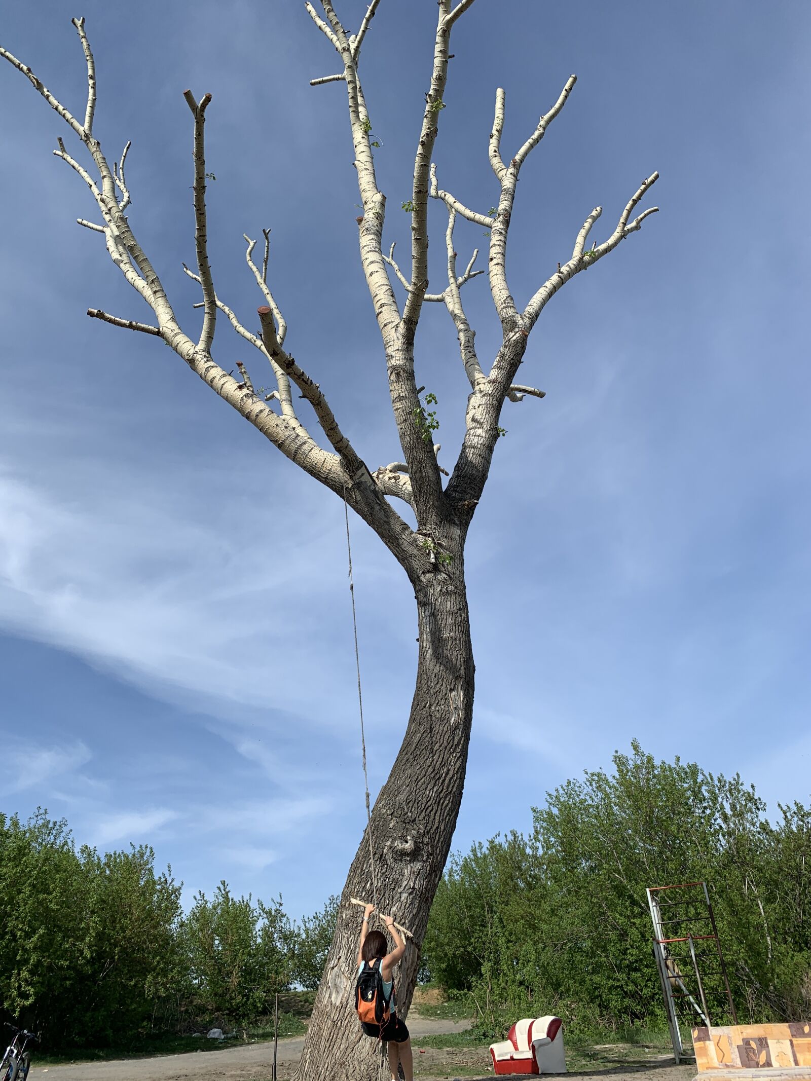 Apple iPhone XR sample photo. Dead, tree, swing photography