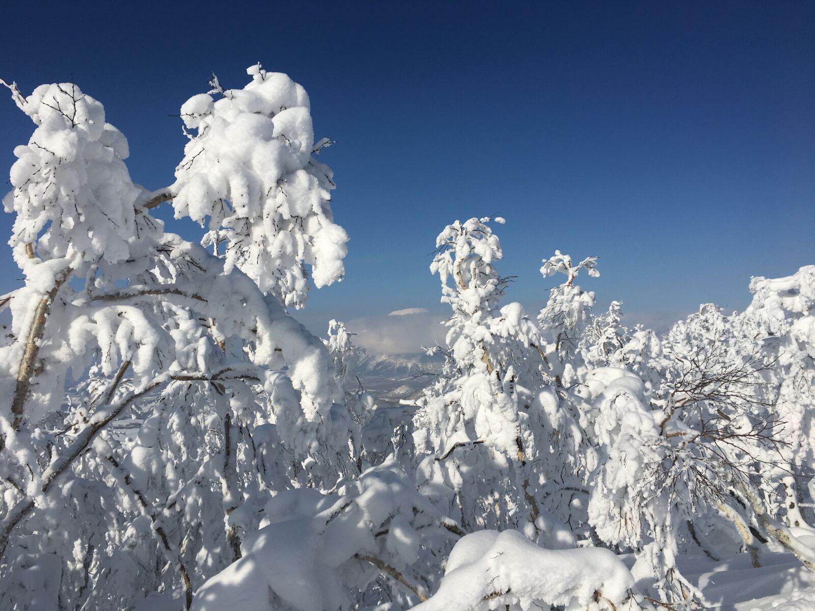 Apple iPhone 6s sample photo. Japan, hokkaido, rusutsu photography