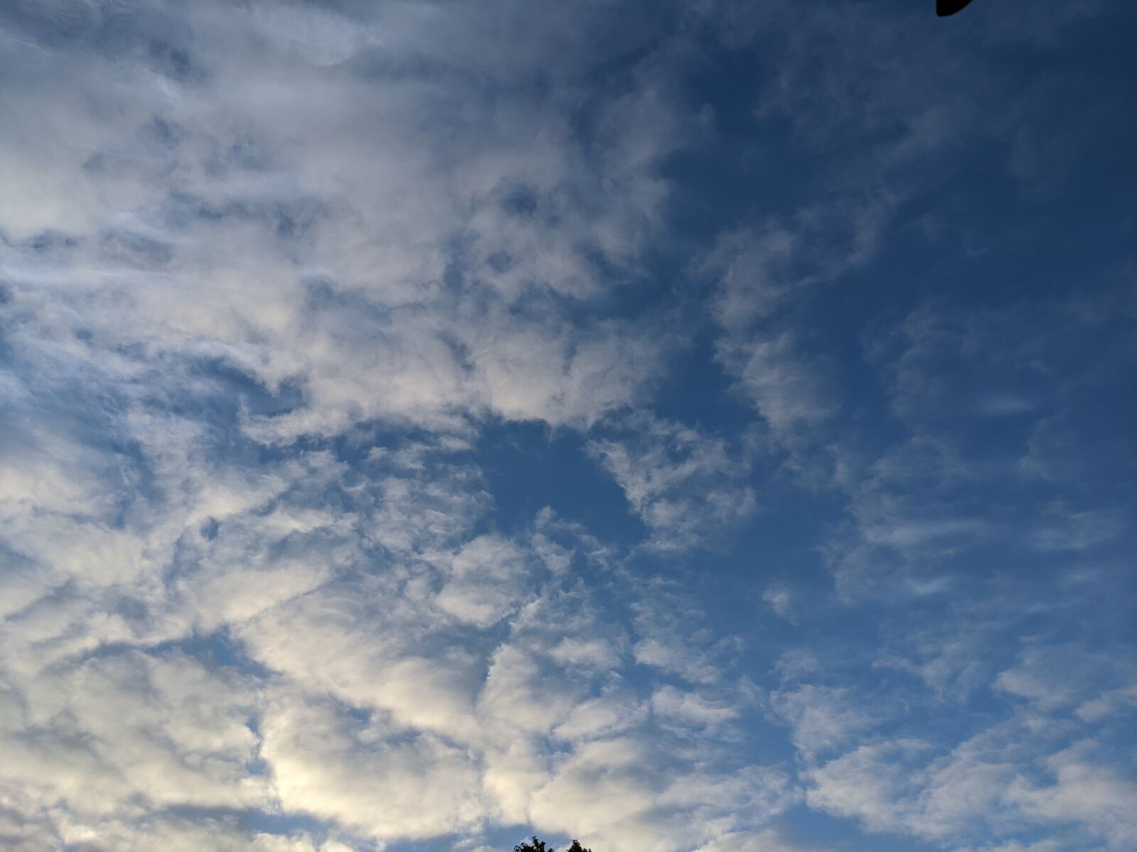 Google Pixel 4 XL sample photo. Clouds, sky, morning clouds photography