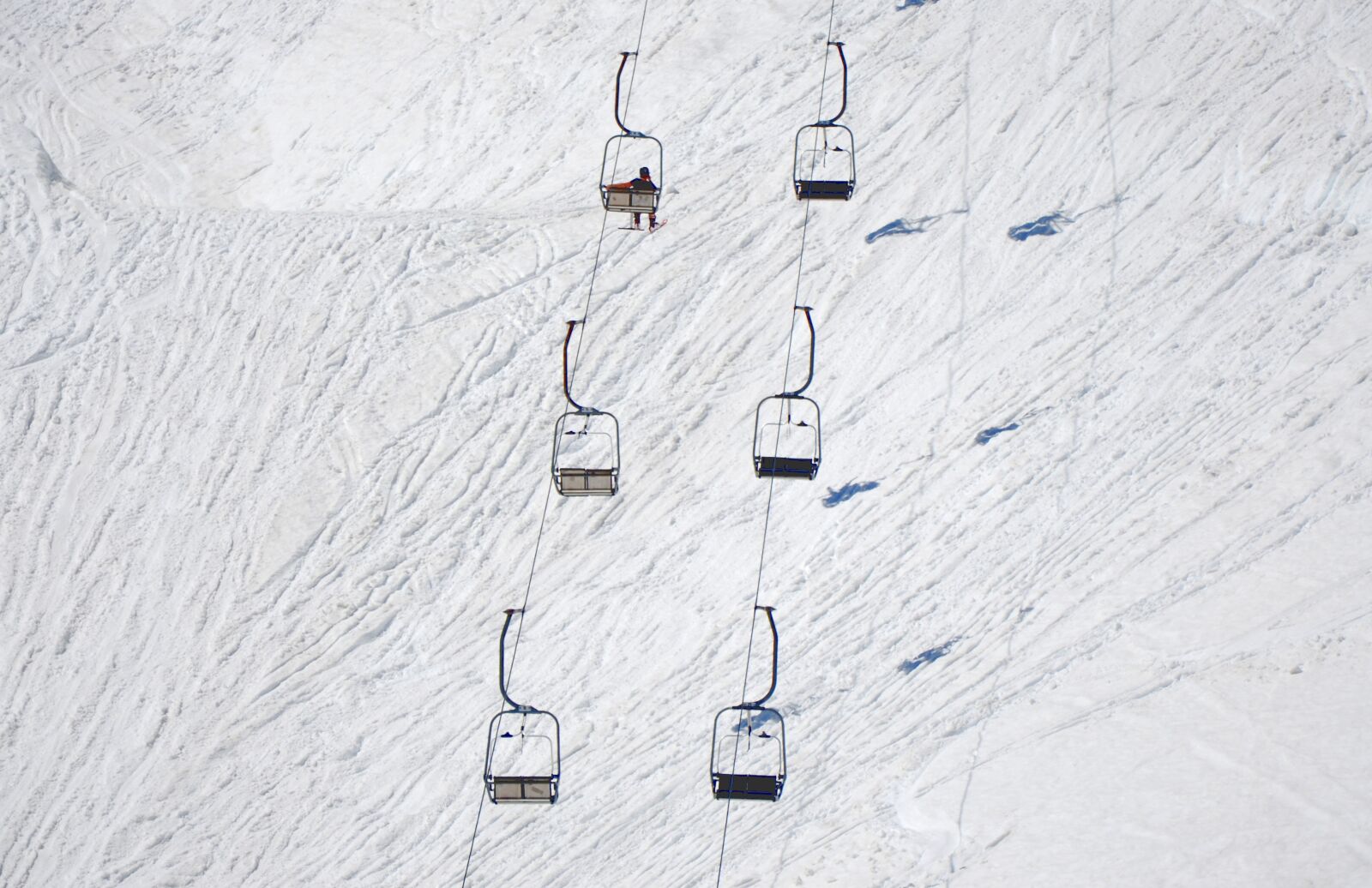 Nikon D5100 sample photo. Winter, hanging, snow photography