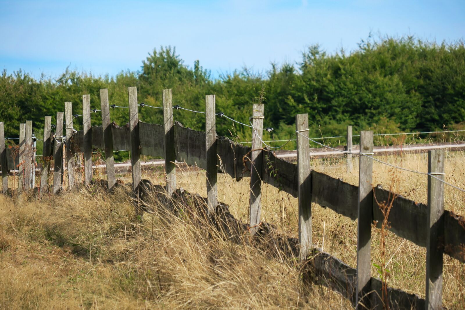 Canon PowerShot G3 X sample photo. Pasture fence, pasture, fence photography