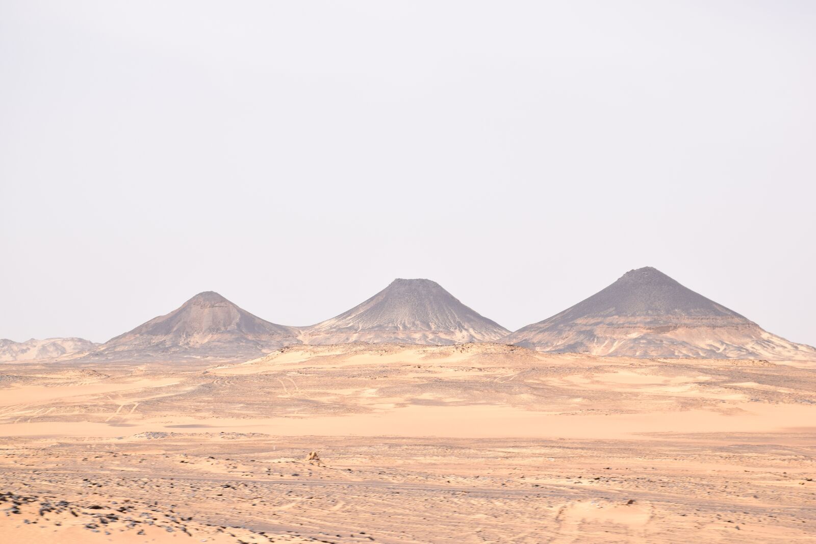 Nikon D5300 sample photo. Oases, desert, egypt photography