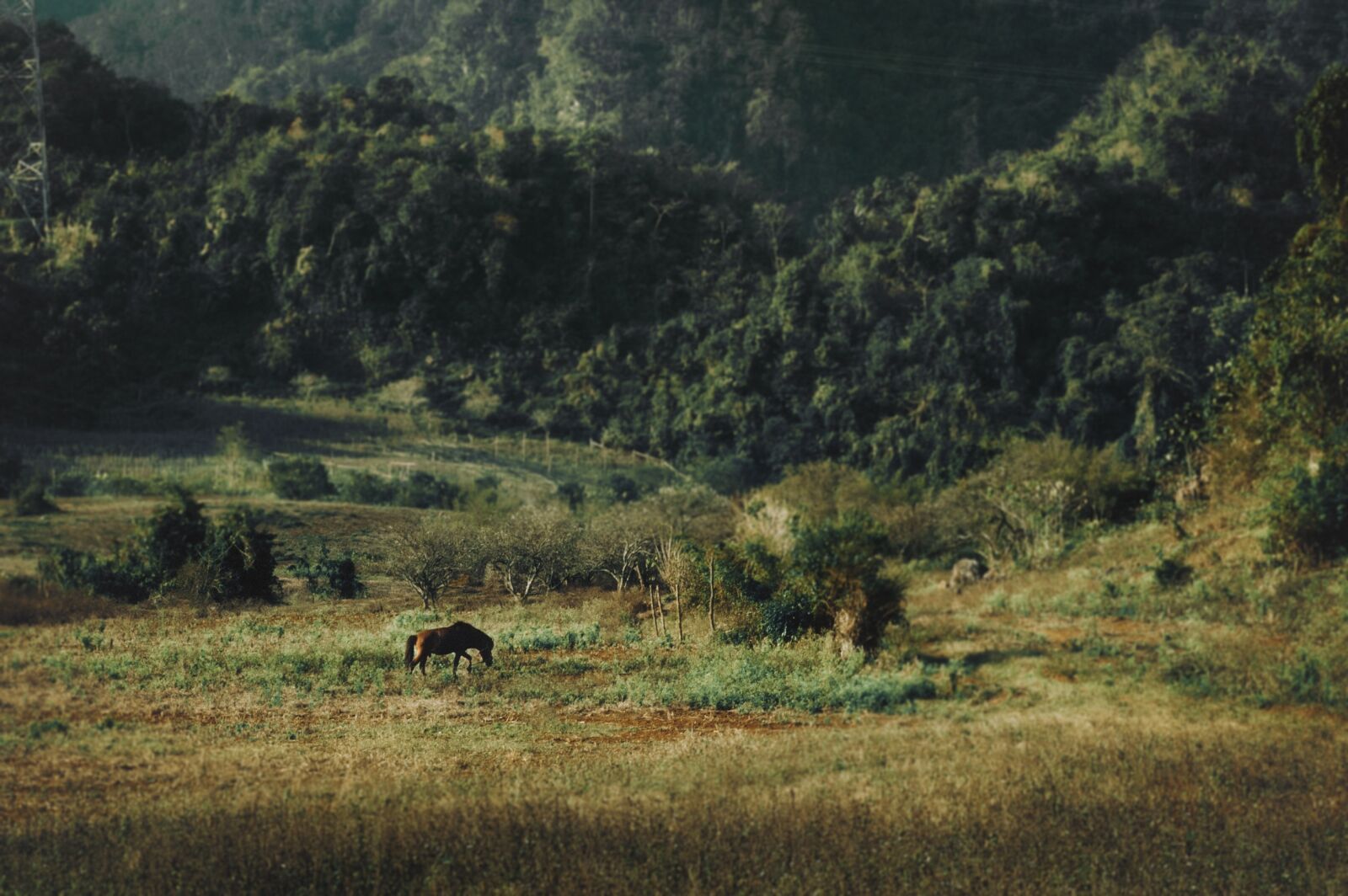 Nikon D700 sample photo. Lanscape, mountain, country photography