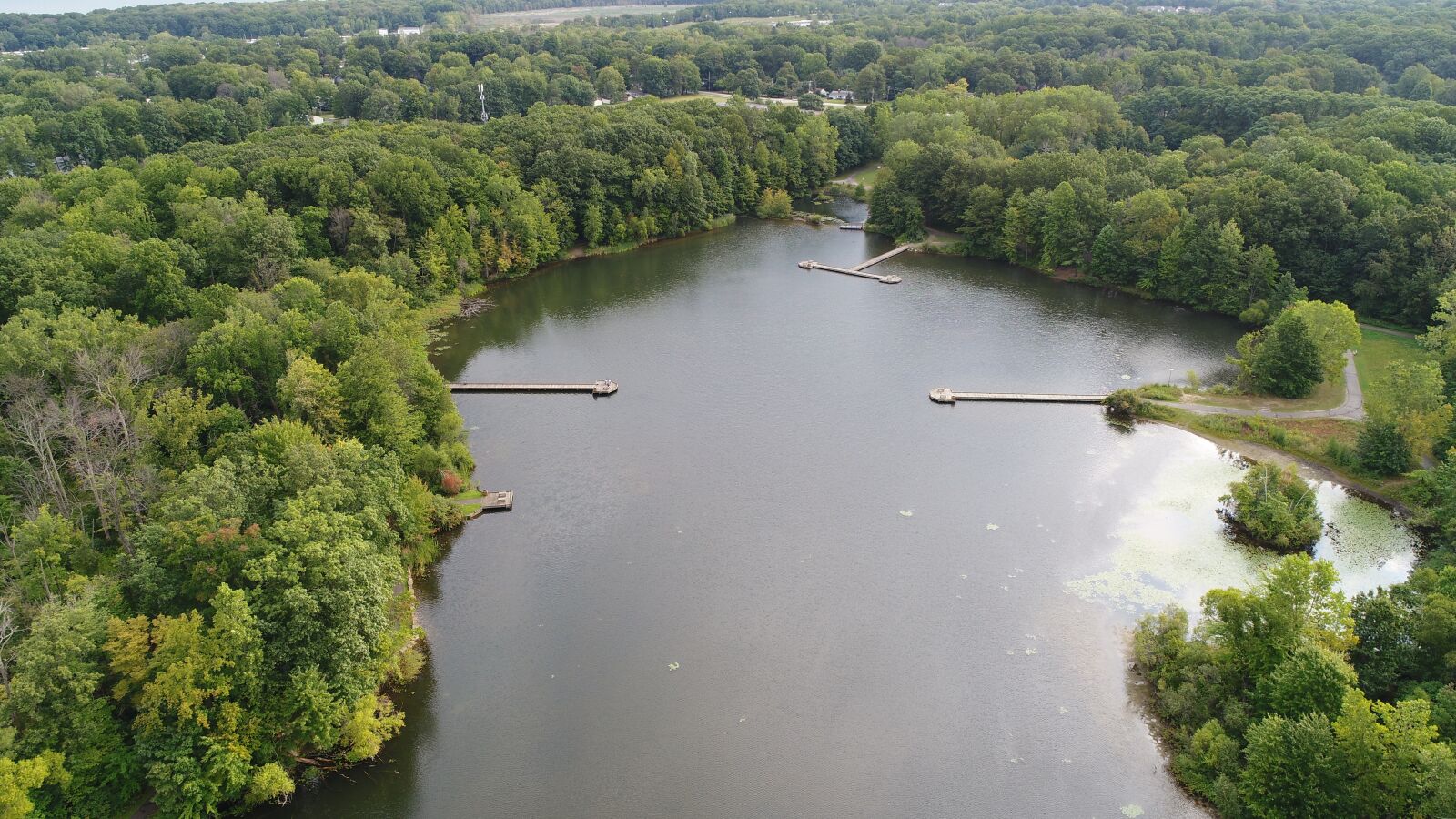 DJI FC6310 sample photo. Pond, park, nature photography
