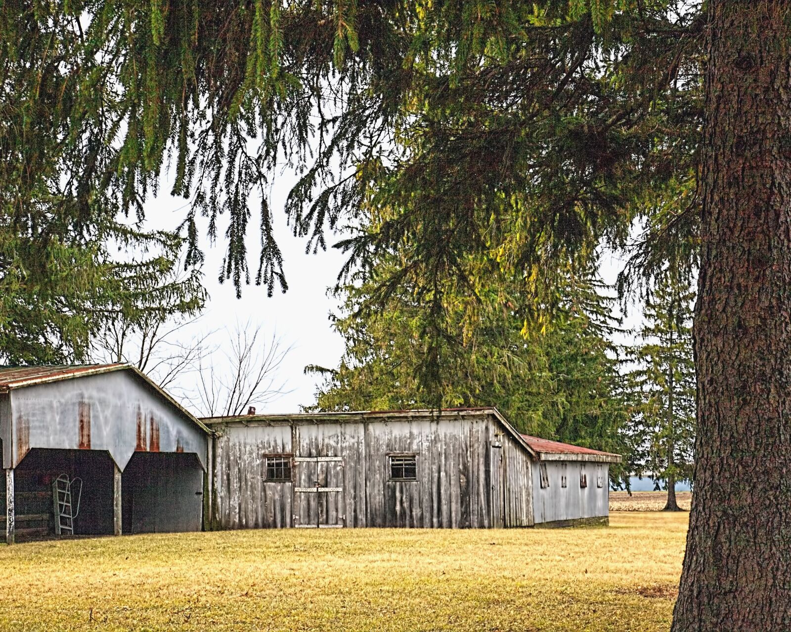 Canon EOS 5D Mark II sample photo. Barn, rustic, barns photography