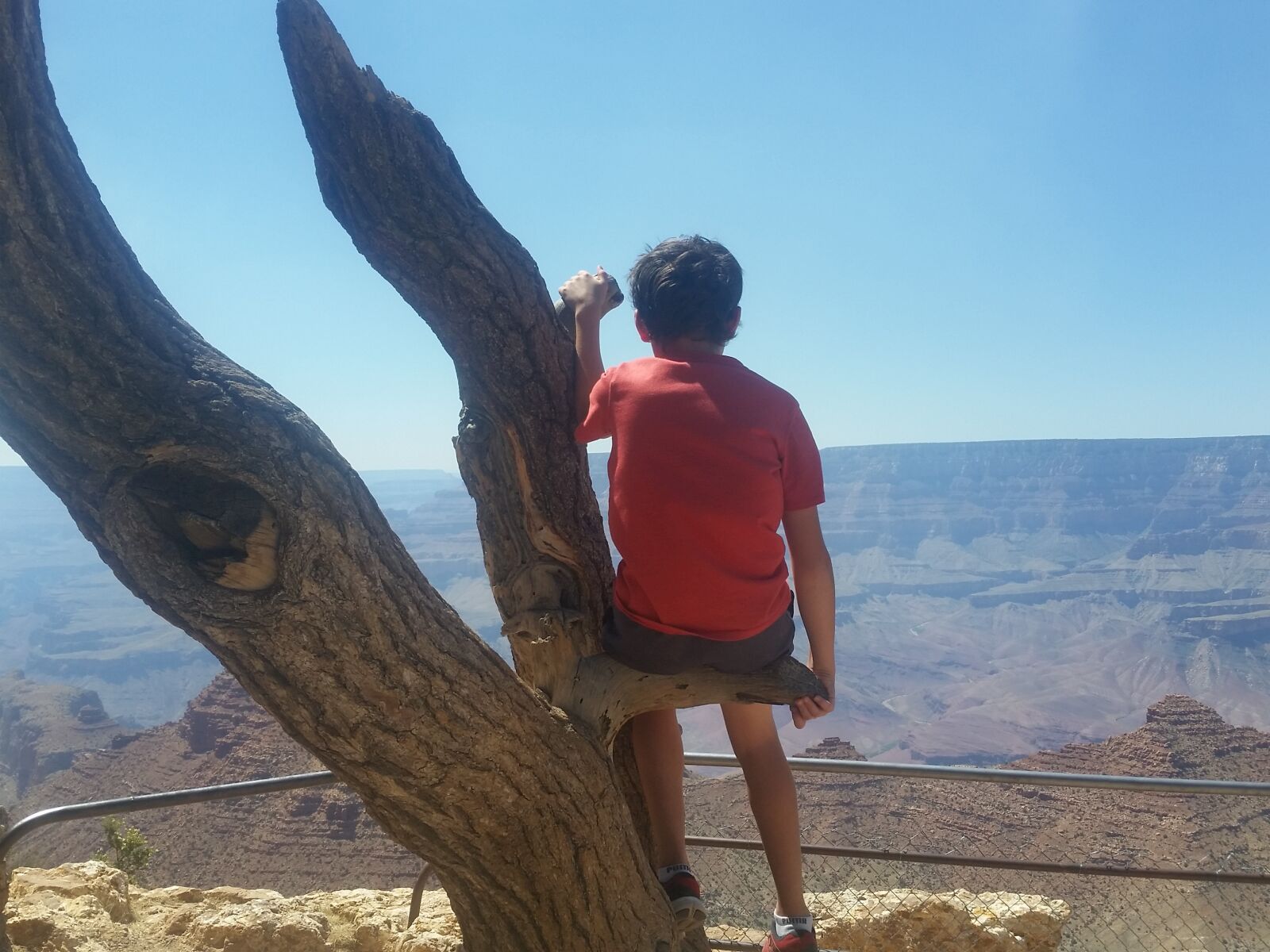 Samsung Galaxy S5 sample photo. Boy, grand, canyon, kids photography