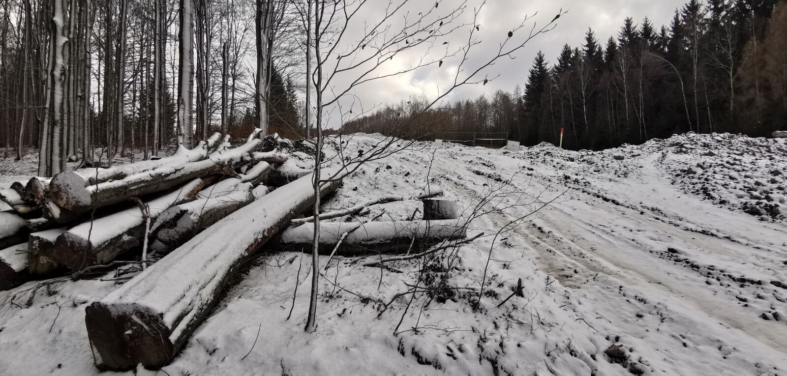 HUAWEI Mate 20 Pro sample photo. Trees, winter, snow photography