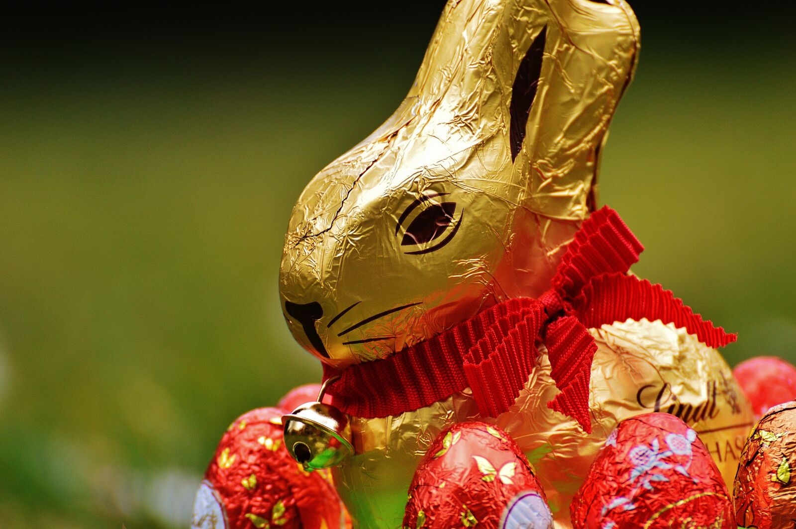 Nikon D3200 sample photo. Hare, easter, chocolate photography