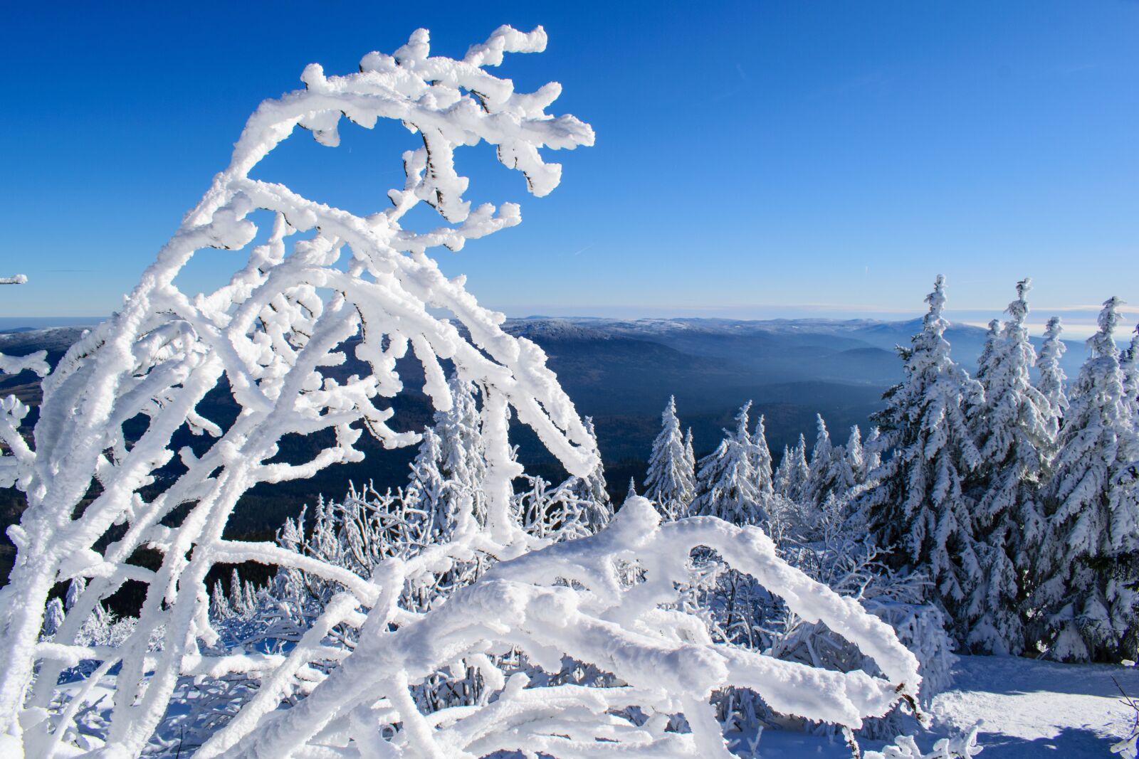Nikon D5300 sample photo. Great arber, bavarian forest photography