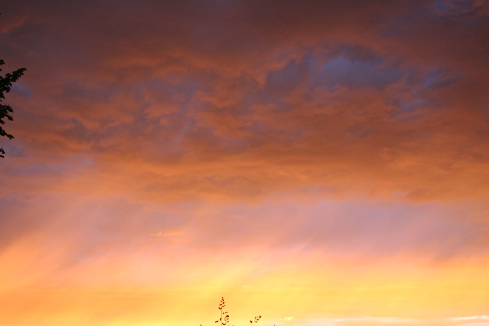 Canon EOS 350D (EOS Digital Rebel XT / EOS Kiss Digital N) sample photo. Sky, clouds, mood photography
