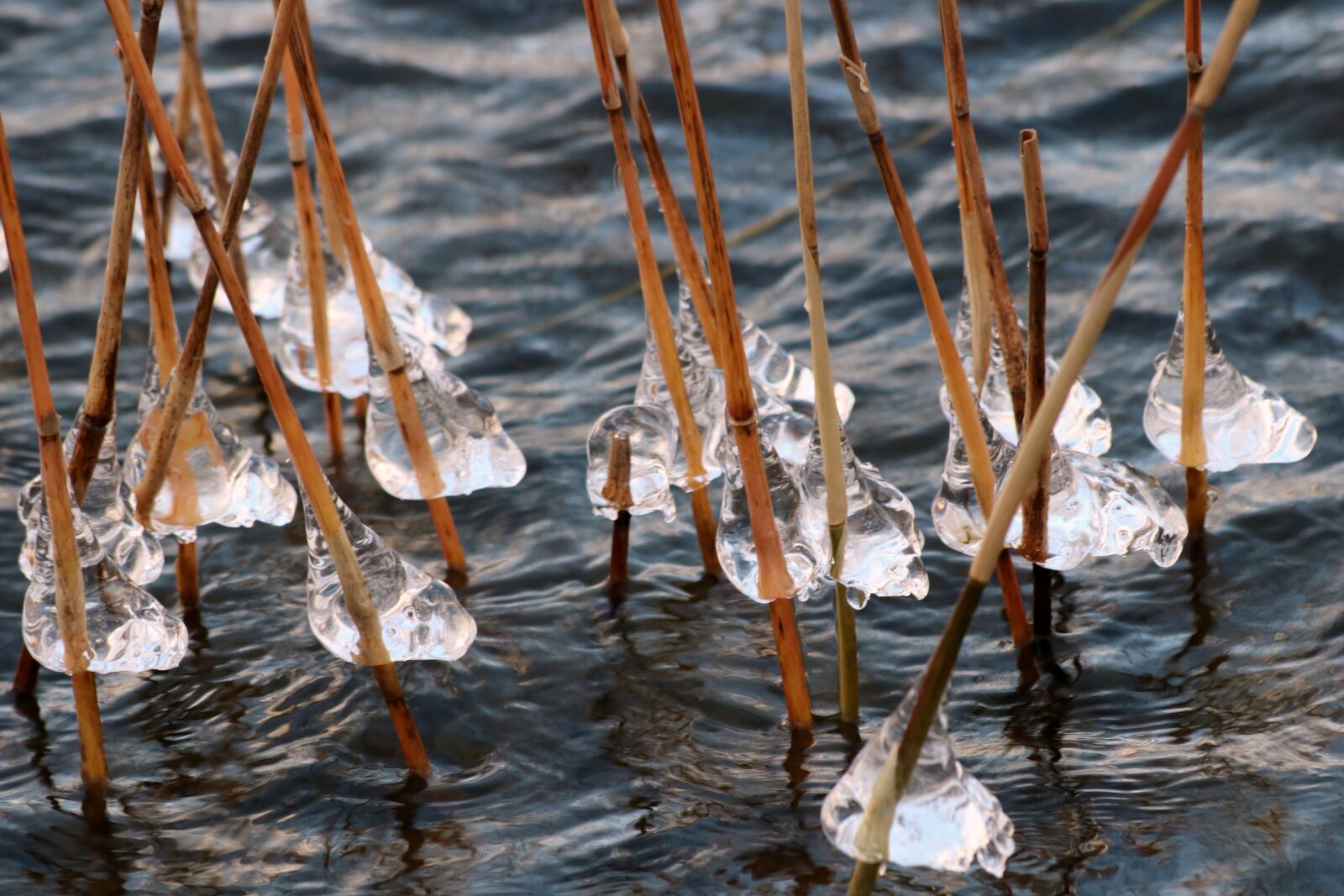 Canon EOS 760D (EOS Rebel T6s / EOS 8000D) sample photo. Ice, water, lake photography