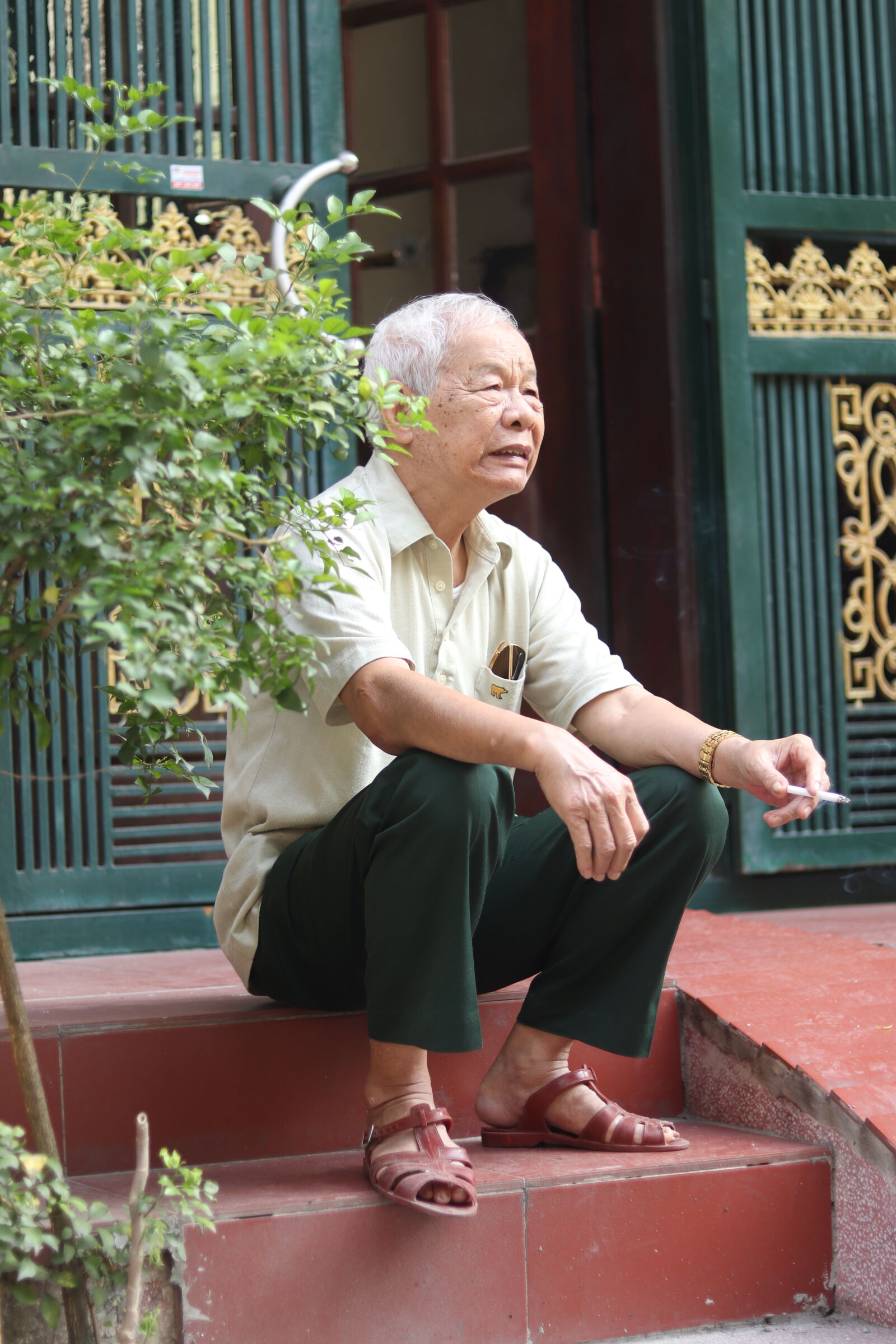 Canon EF 50mm F1.8 STM sample photo