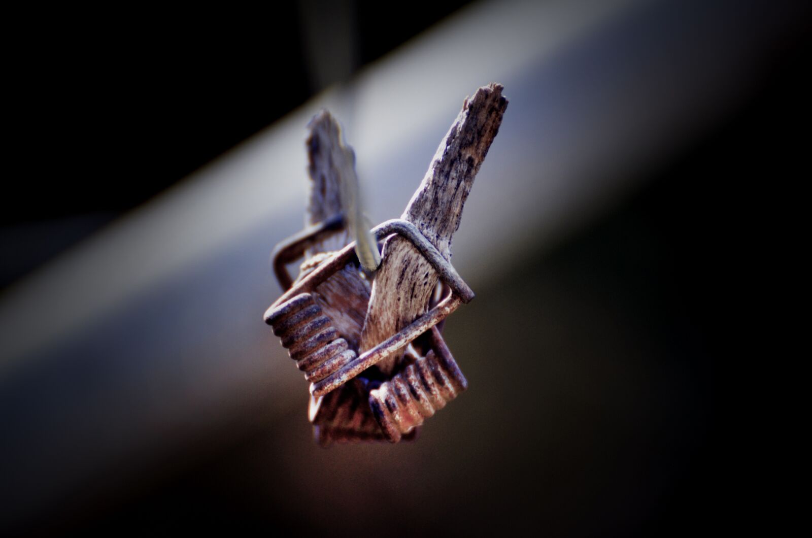 Nikon D7000 sample photo. Outdoors, abstract, connection photography