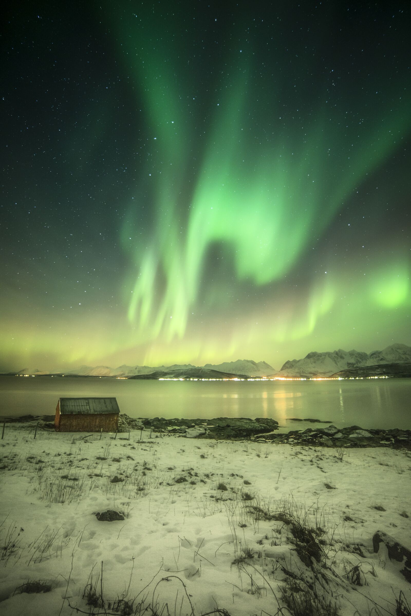 Nikon D600 sample photo. Night, northern lights, light photography