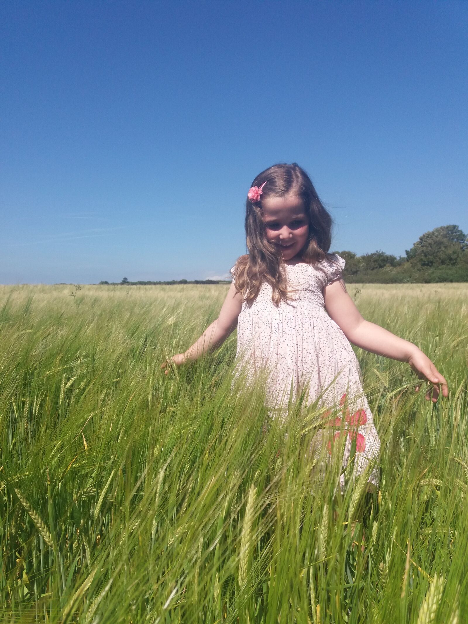 Samsung Galaxy J5(2016) sample photo. Girl, wheat, field photography
